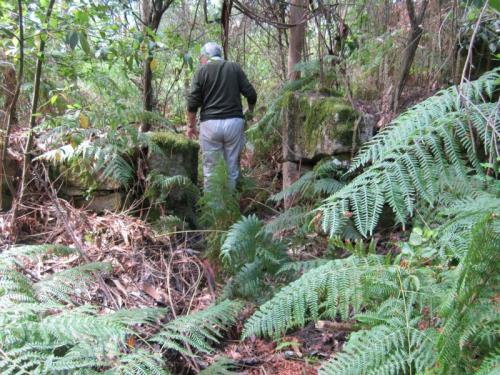 CONVENTO TRESIMG_1760