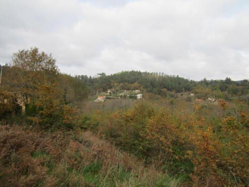 PONTE DE XIL 1 IMG_3028