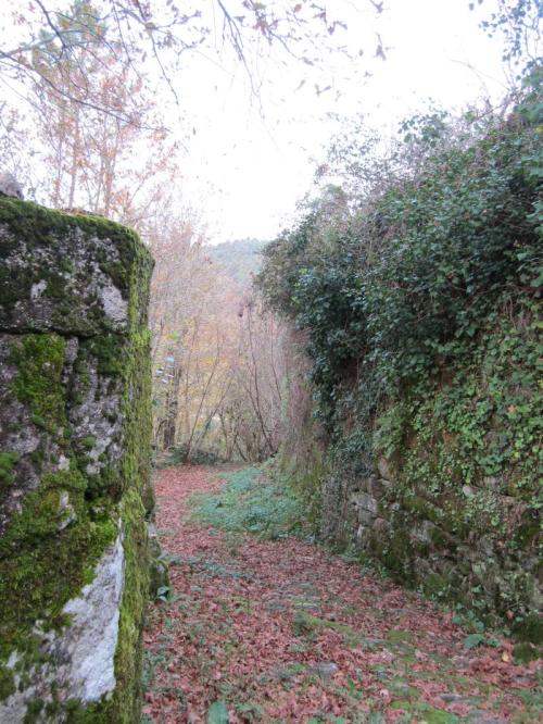 PONTE DE XIL 22 IMG_3041