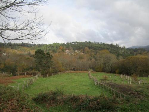 PONTE DE XIL 3 IMG_3030