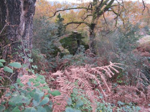 PONTE DE XIL 3O IMG_3043