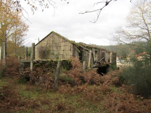 VALINHO DOUS IMG_3026