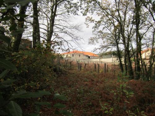 VALINHO TRES IMG_3027