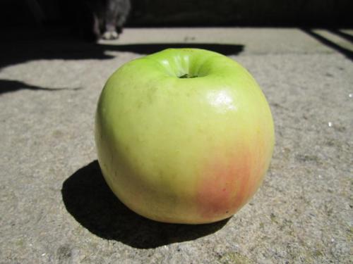 MAZANS XÉ MARIA IMG_1887