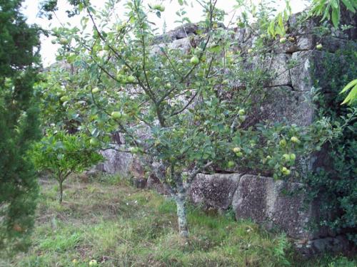 MOOOO1O14                                          100_0035