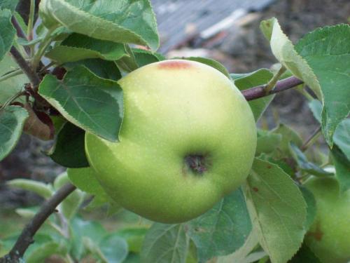 MOOOO1O16                                                        100_0048