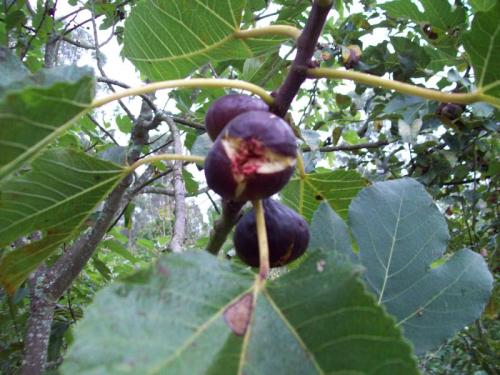 MOOOO1O27                                            100_0185