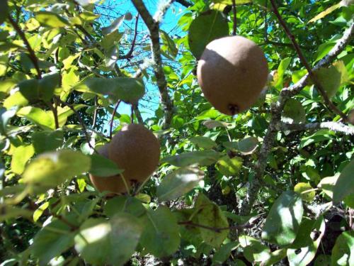 MOOOO1O29                                         100_0265