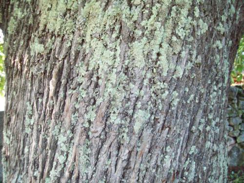 MOOOO2OO2                                             100_0144