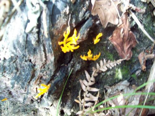 TOOOO911                                                 100_0485