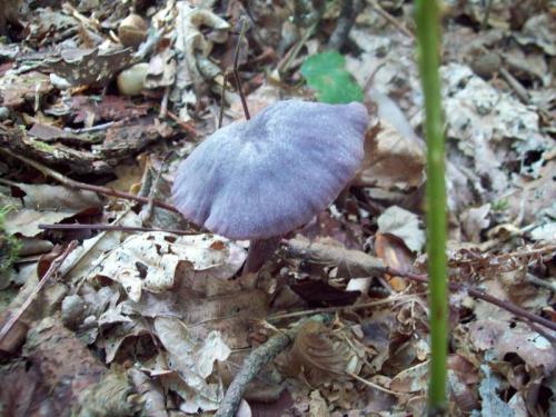 TOOOO91O                                             100_0481