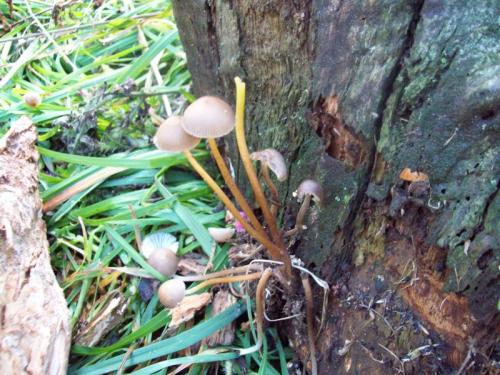 TOOOO9O4                                        100_0441