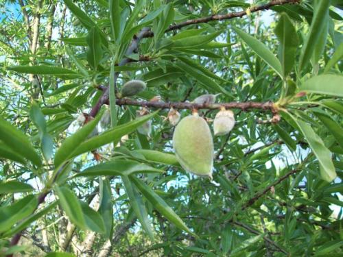 TOOOOO103                                                    100_1064