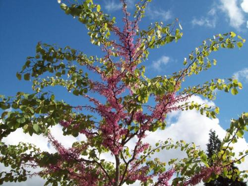 TOOOOO1O2                                                     100_1010