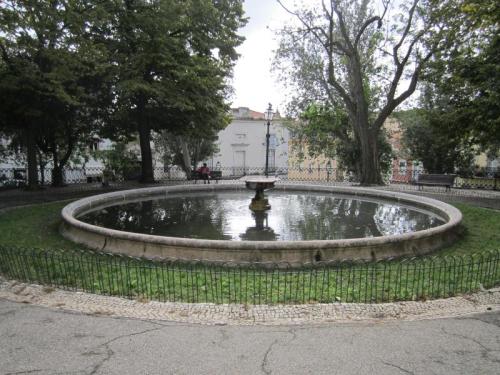 xardin.................................................................................IMG_2602