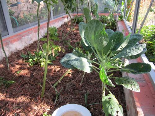 BRUXELAS RRRRRRRRRRRRRRRRRRRRR IMG_2387