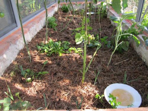 PORROS RRRRRRRRRRRRRRR SIMG_2393