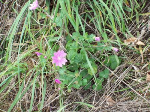 TOOOO613                                100_0052