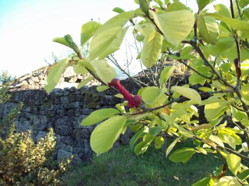 TOOOO62O                        100_0091