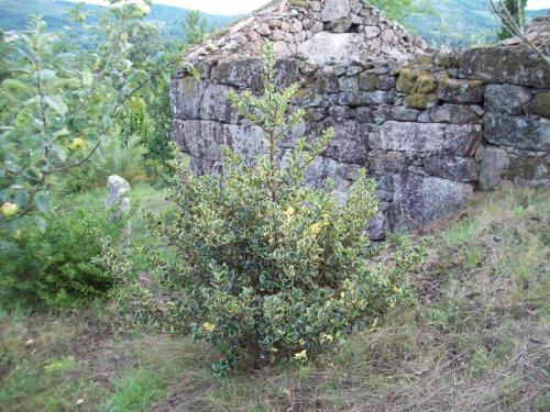 TOOOO6O4                                           100_0023