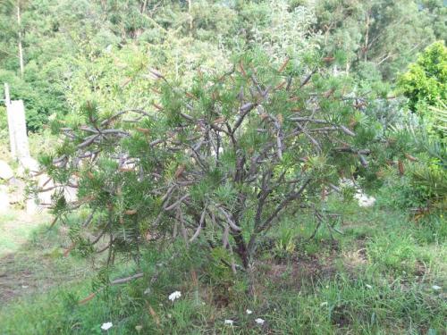 TOOOO6O5                                            100_0026