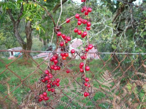 TOOOO721                                                 100_0124