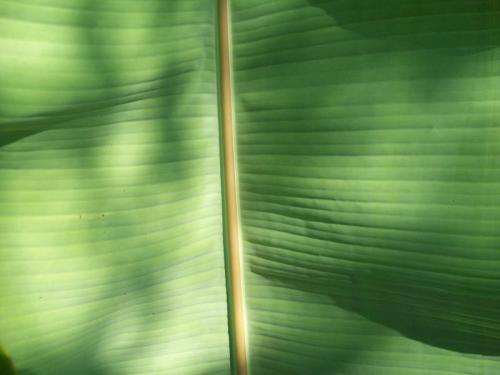 TOOOO724                                           100_0136