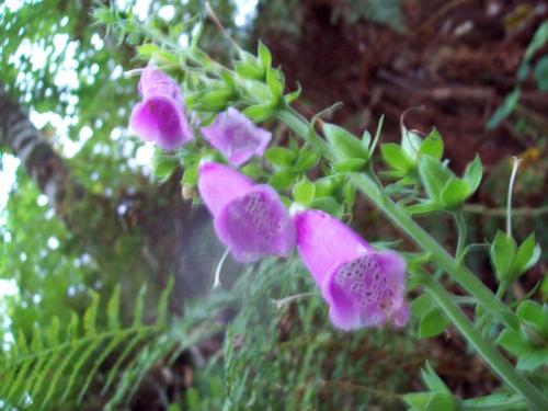 TOOOO735                                100_0190