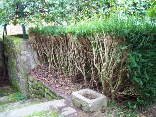 TOOOO737                                                   100_0201