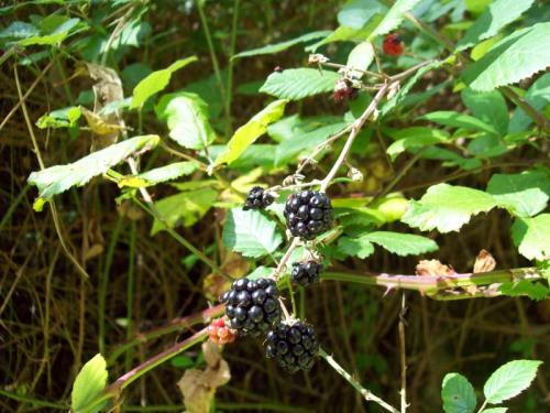 TOOOO747                                          100_0288