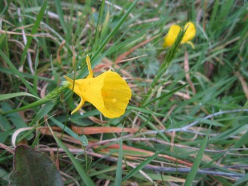 TOOOO850                                        IMG_4633