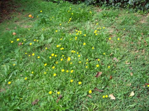 TOOOO8O1                                                         100_0301