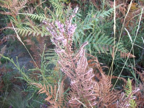 TOOOO8O3                                            100_0381