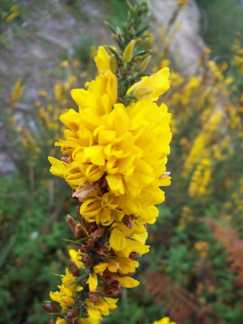 TOOOO8O6                                      100_0410