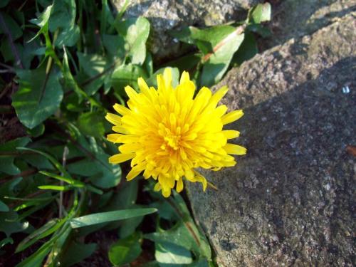 TOOOOO23                                                100_0870