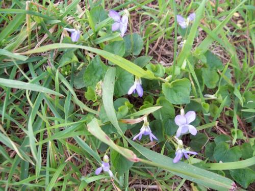 TOOOOO25                                               100_0924