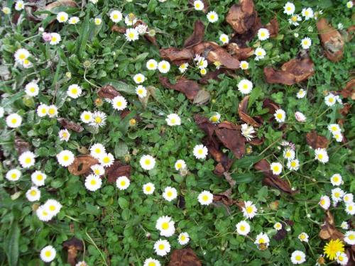 TOOOOO30                                                2100_0948