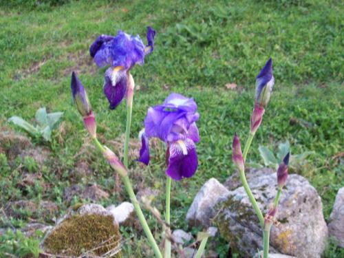 TOOOOO38                                           100_0961