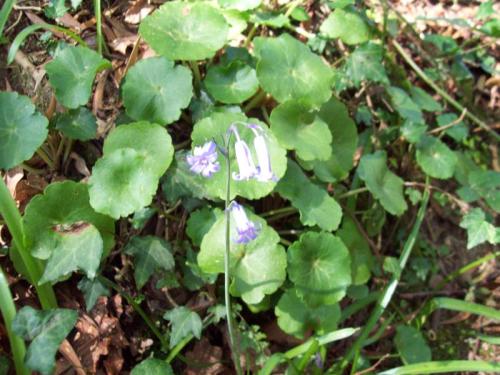 TOOOOO39                                        100_0969