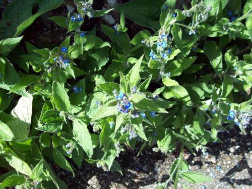 TOOOOO52                                     100_1011