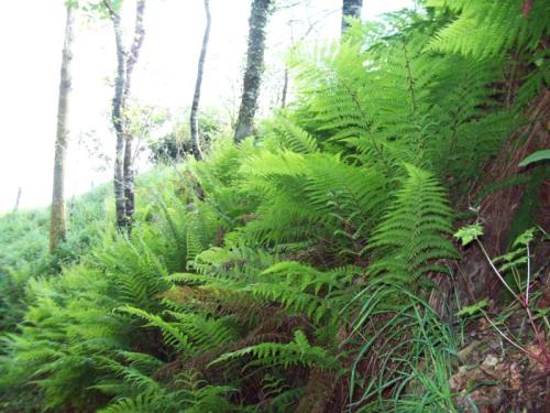 TOOOOO53                                           100_1013