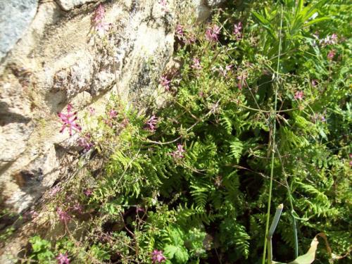 TOOOOO65                                                    100_1025