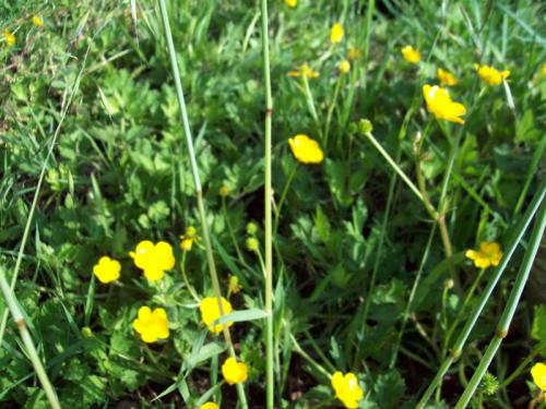 TOOOOO67                                     041