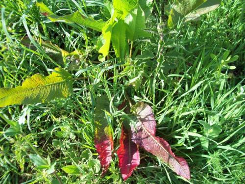 TOOOOO69                                             100_1043