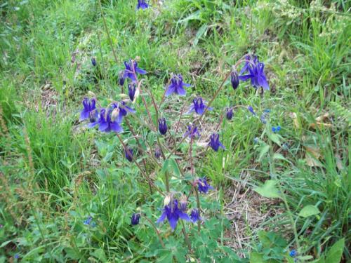 TOOOOO73                                  100_1046