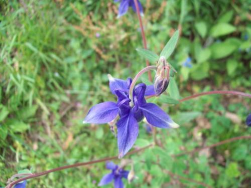 TOOOOO74                                       100_1049