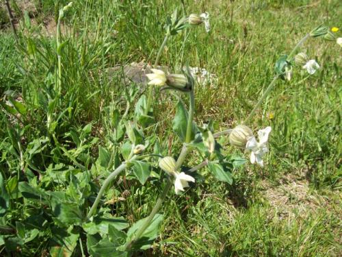 TOOOOO83                                         100_1081