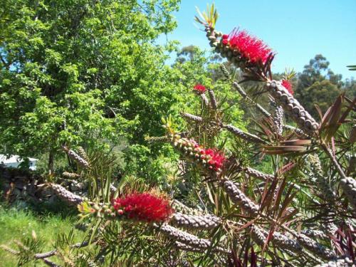 TOOOOO85                                                            100_1086