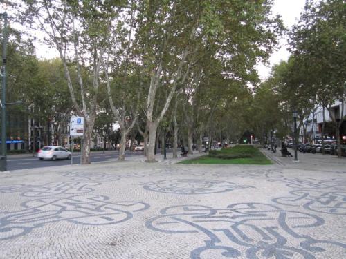 RIBADOURO 4 IMG_2528