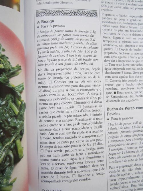 BEXIGA TTTT IMG_2230